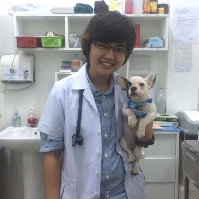 "แพนด้า เหยื่อผู้เคราะห์ร้าย จาก “ตลาดนัดสัตว์เลี้ยง”  